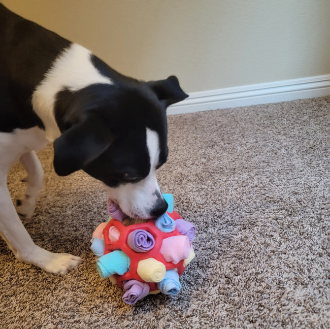 20240119_0728251.jpg__PID:8e04a5a9-8e9d-43f1-9a38-ce7e8dc149b1