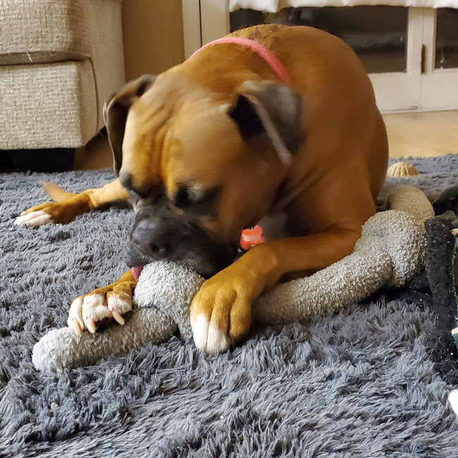 20241202_184951.jpg__PID:3f9b2f0c-81c9-4819-b273-2b29c62d4de9