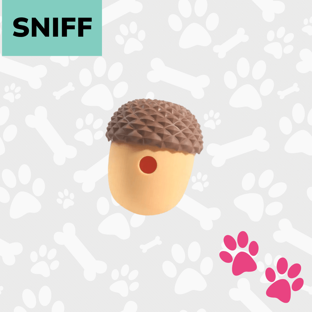 Acorn Treat Dispenser