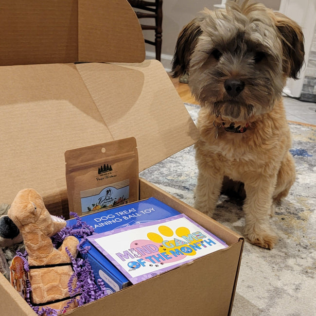 IMG_78354.JPG__PID:2928519b-3079-4655-8762-ce3def3d4244