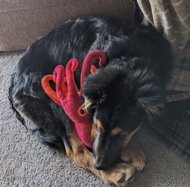 Screenshot 2025-07-16 0729491.png__PID:e5eff29e-6528-4890-b88a-83028a609bfd