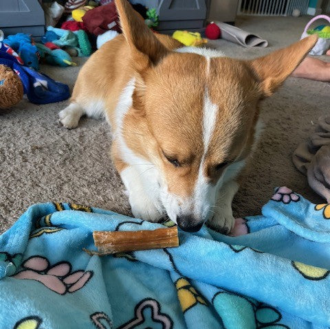 image0 (9)2.jpeg__PID:557bb5b6-4d24-4157-a454-5127a985c255