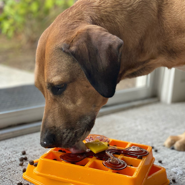 image (2)4.jpg__PID:af8e3dd7-2fc8-4d8d-9989-8d5f605fcf83