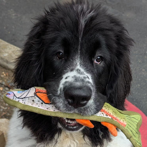 image (6).png__PID:f19676ad-ab35-47cf-8e97-8b93639f074a