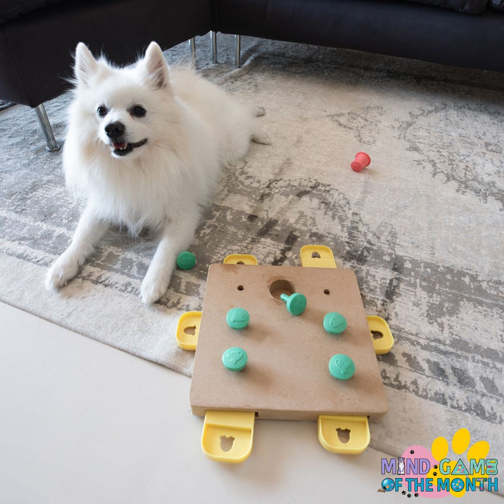 How to Clean Your Dog’s Enrichment Puzzles: A Step-by-Step Guide