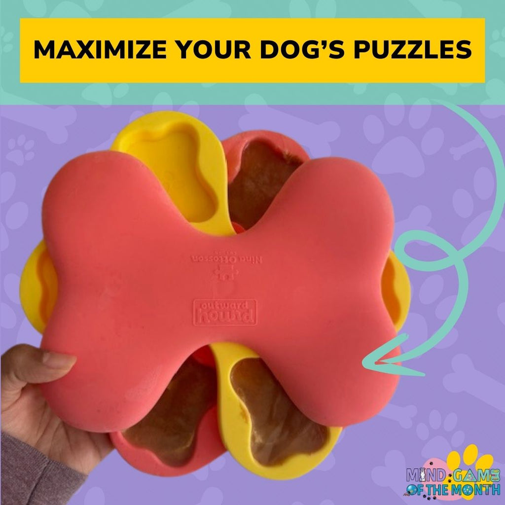 ⚡Maximize Your Dog's Puzzles: A nifty tip to extend the use of your puzzles!