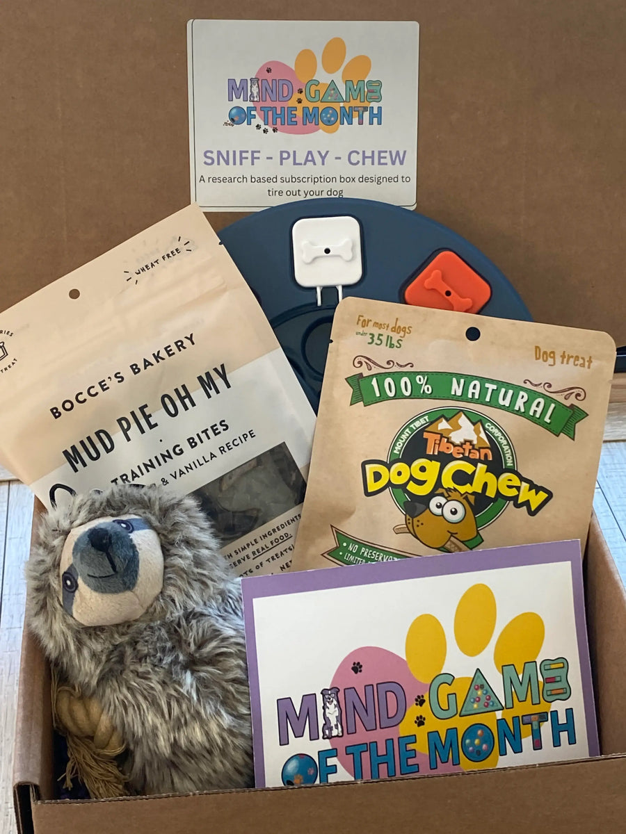Take a Look Inside Our Monthly Boxes – Mind Game of the Month