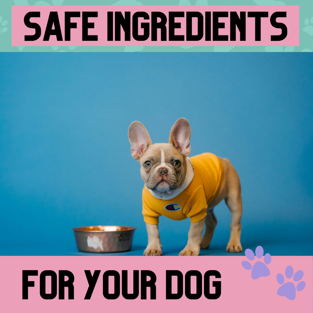Ensuring Canine Wellness: A Guide to Safe Ingredients for Dogs