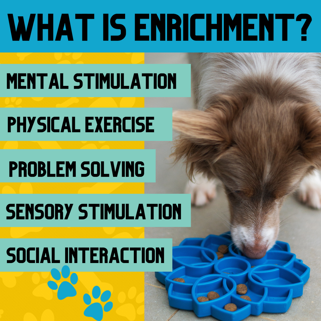 Unleashing Joy: The Crucial Role of Enrichment in a Dog's Life