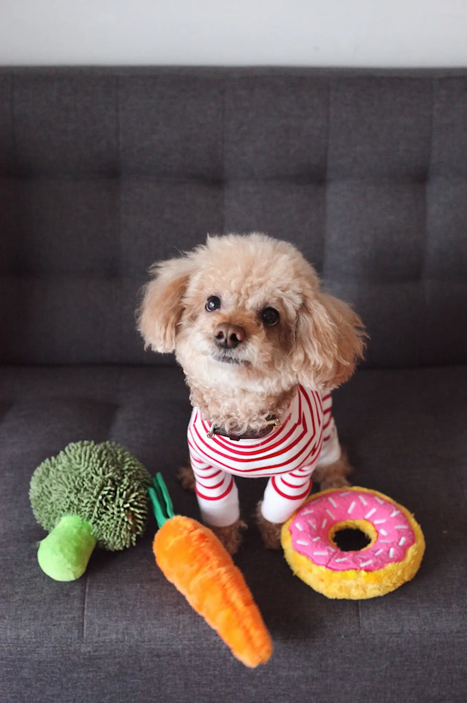 Why Dog Owners Should Wash Their Dog's Soft Goods