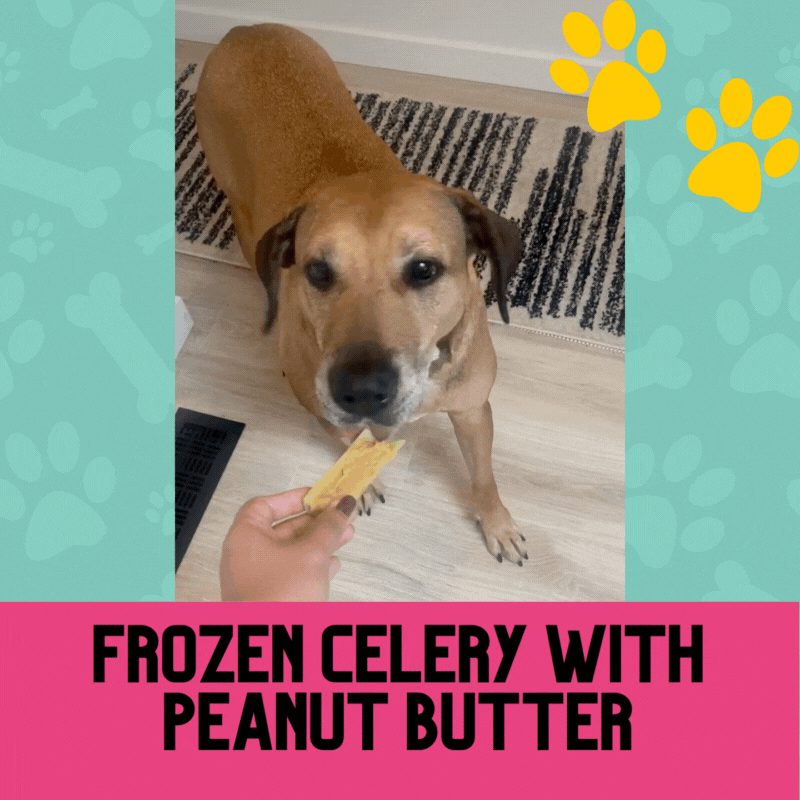 Review: Frozen Celery & Peanut Butter