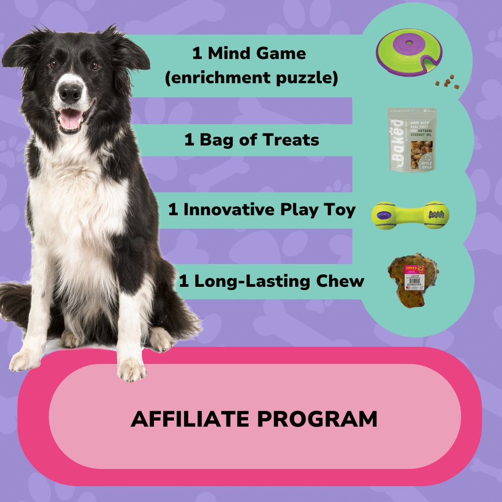 Trainer Pawtner Bundle