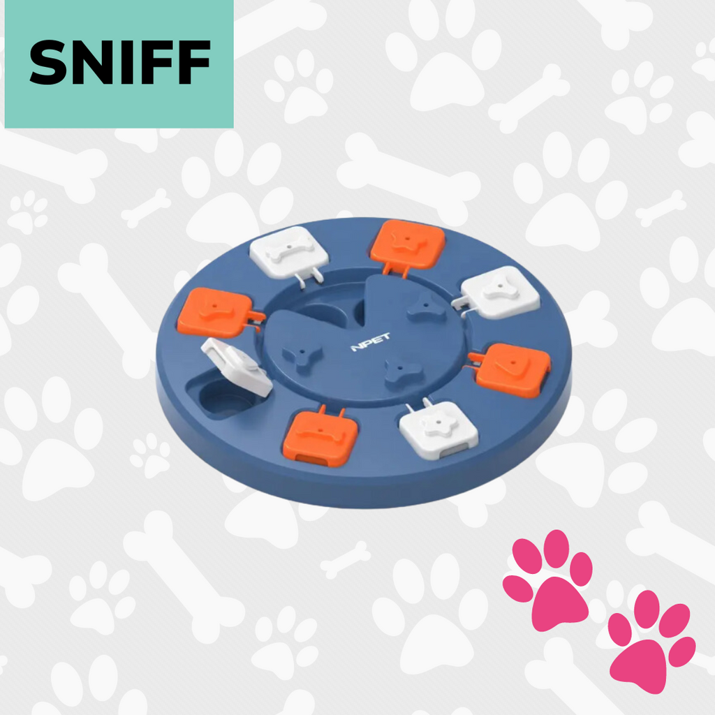 Interactive Pet Puzzle Toy