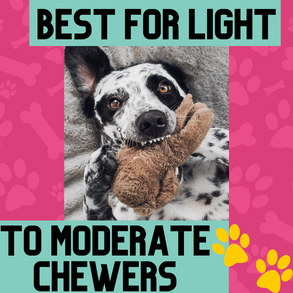 Mind Game of the Month Monthly Enrichment Puzzles to Busy Your Dog