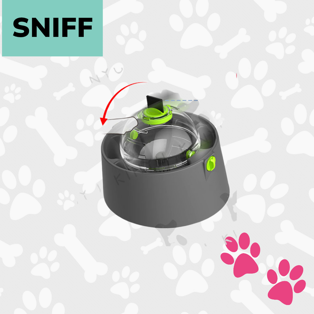 IQ Training Ball Toy