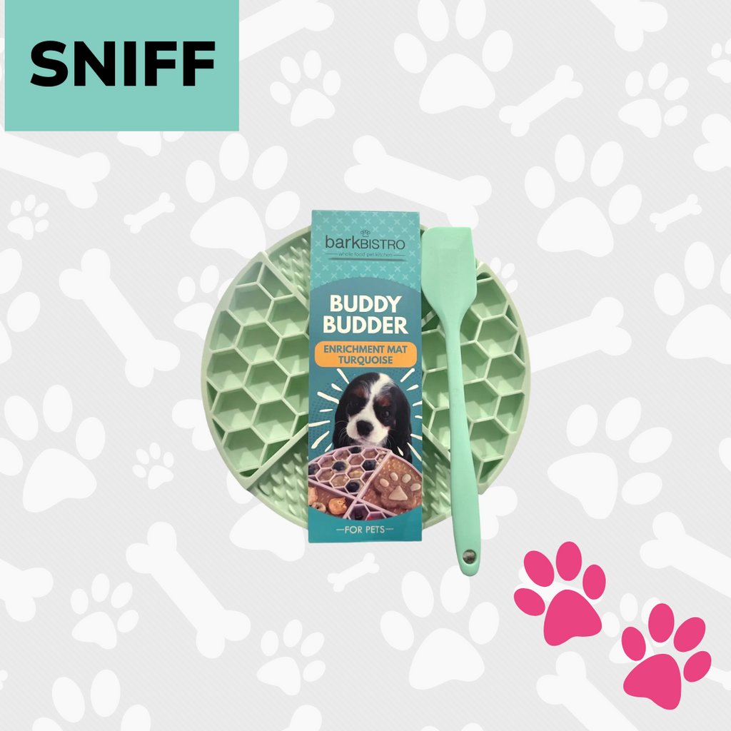 Green Lick Mat & Spatula