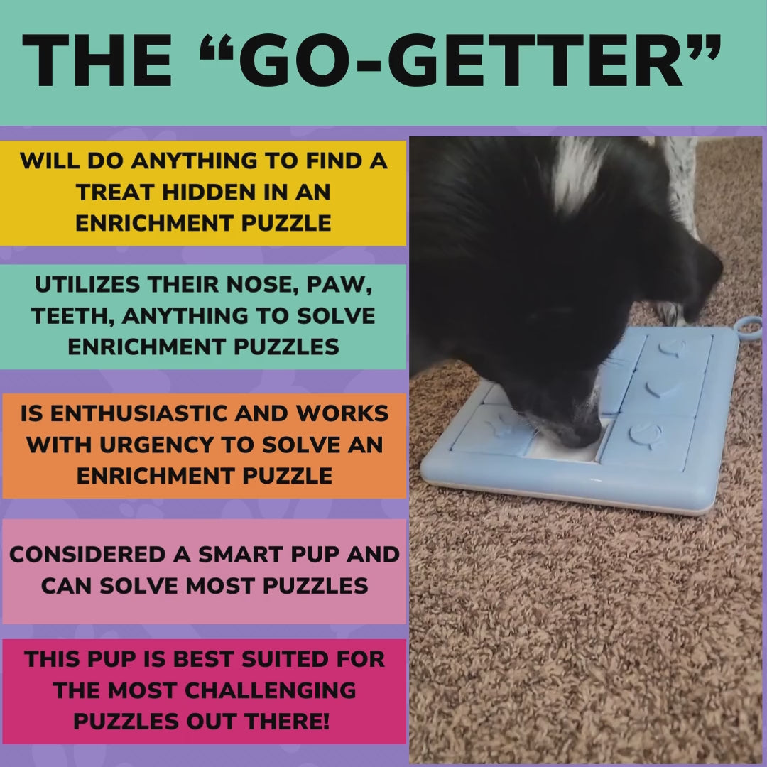 SNIFF-PLAY-CHEW - Bi-Monthly