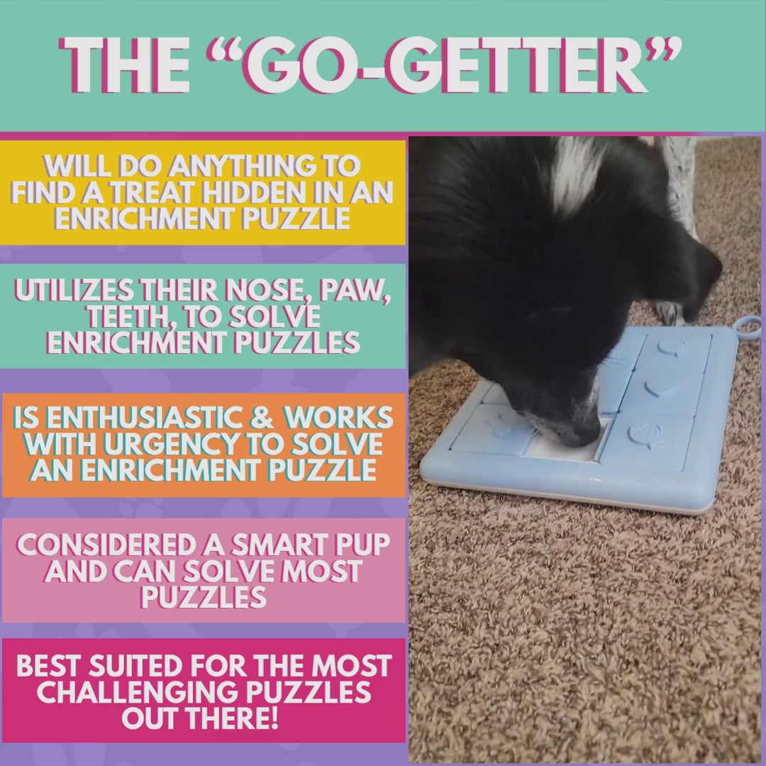 SNIFF-PLAY-CHEW - Bi-Monthly