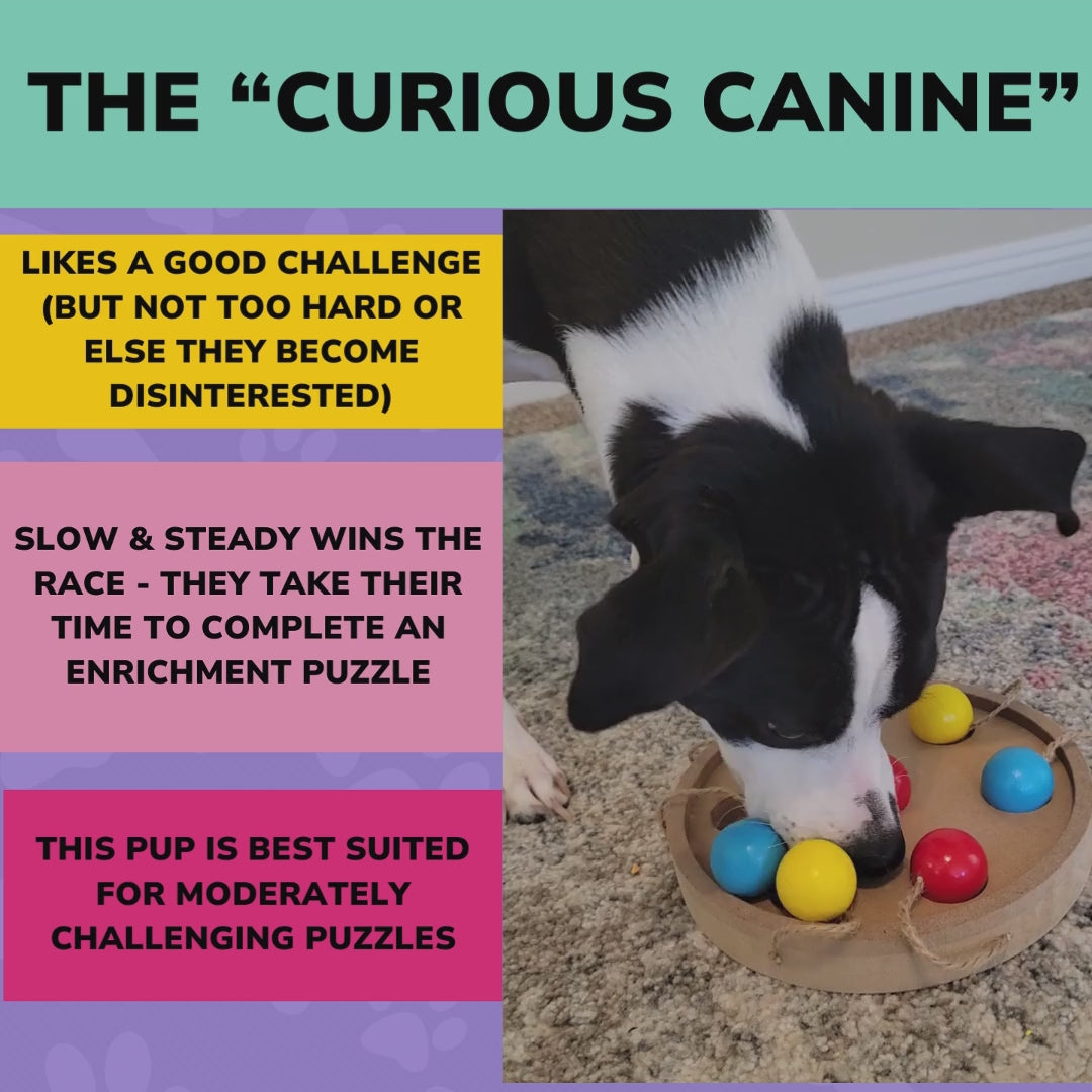 SNIFF-PLAY-CHEW - Bi-Monthly