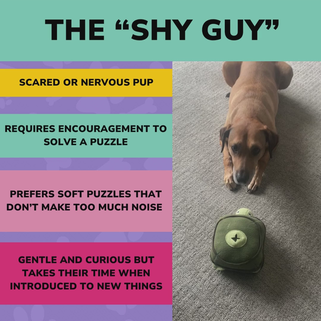 SNIFF-PLAY-CHEW - Bi-Monthly