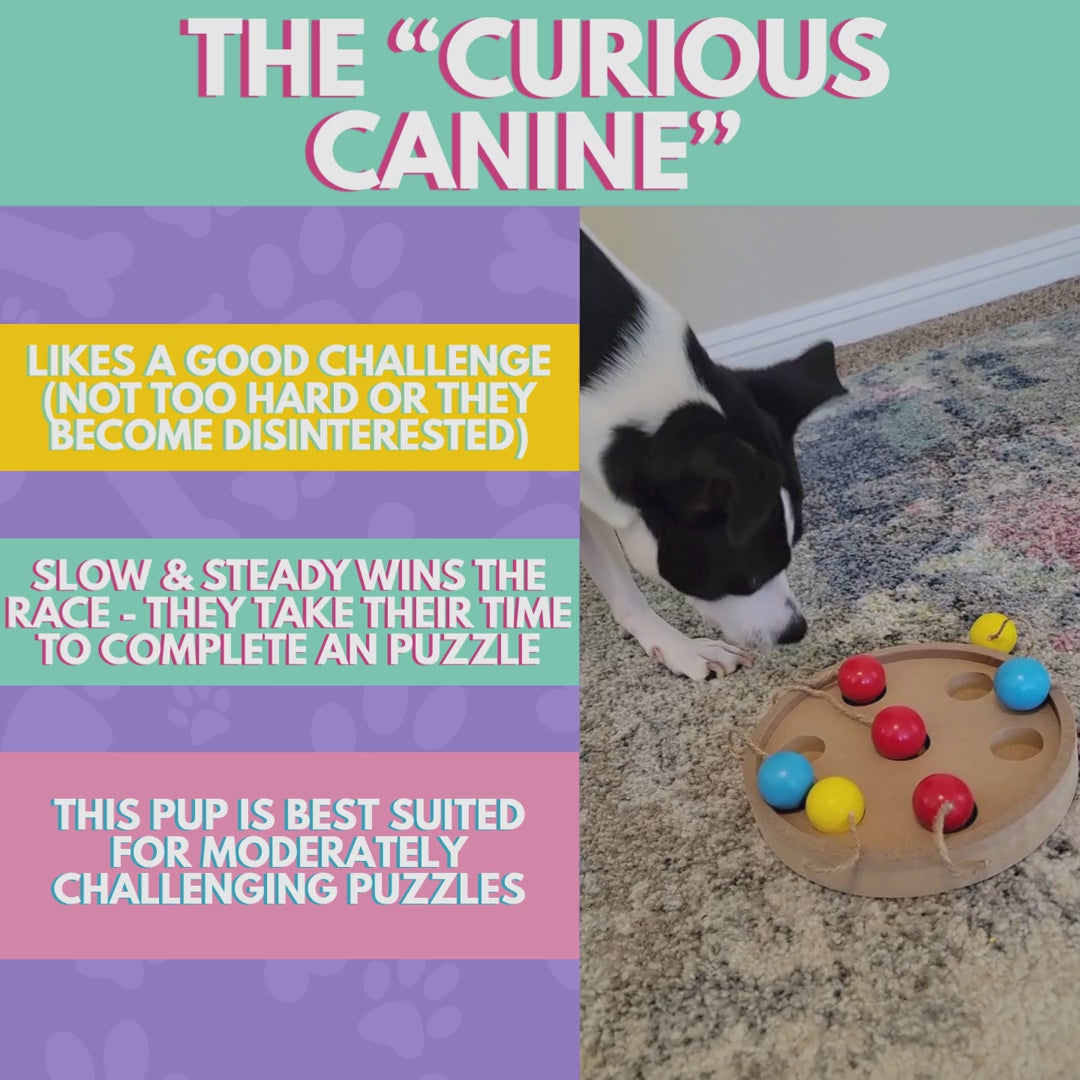 SNIFF-PLAY-CHEW - Bi-Monthly