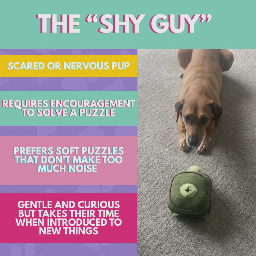 SNIFF-PLAY-CHEW - Bi-Monthly